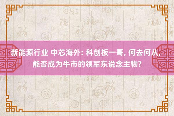 新能源行业 中芯海外: 科创板一哥, 何去何从, 能否成为牛市的领军东说念主物?