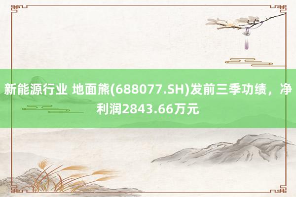 新能源行业 地面熊(688077.SH)发前三季功绩，净利润2843.66万元