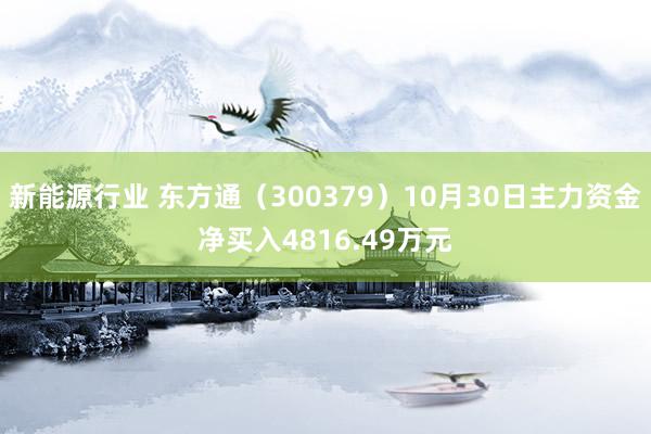 新能源行业 东方通（300379）10月30日主力资金净买入4816.49万元