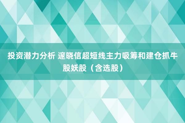 投资潜力分析 邃晓信超短线主力吸筹和建仓抓牛股妖股（含选股）