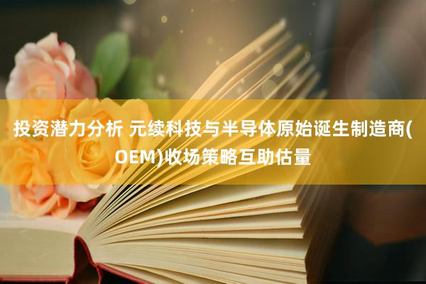 投资潜力分析 元续科技与半导体原始诞生制造商(OEM)收场策略互助估量