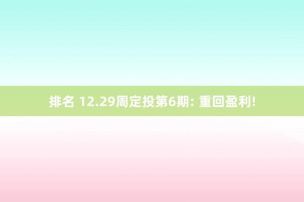 排名 12.29周定投第6期: 重回盈利!