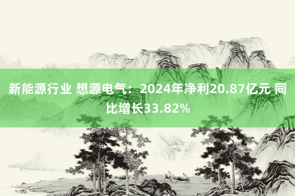 新能源行业 想源电气：2024年净利20.87亿元 同比增长33.82%