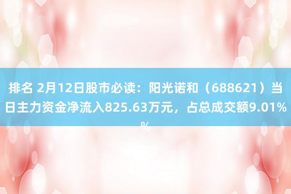 排名 2月12日股市必读：阳光诺和（688621）当日主力资金净流入825.63万元，占总成交额9.01%