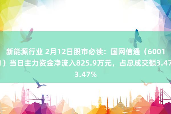 新能源行业 2月12日股市必读：国网信通（600131）当日主力资金净流入825.9万元，占总成交额3.47%