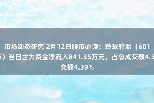 市场动态研究 2月12日股市必读：玲珑轮胎（601966）当日主力资金净流入841.35万元，占总成交额4.39%