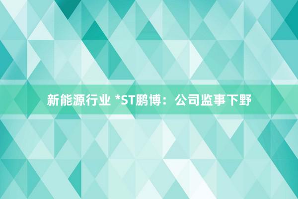 新能源行业 *ST鹏博：公司监事下野