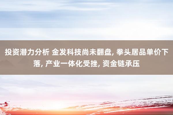 投资潜力分析 金发科技尚未翻盘, 拳头居品单价下落, 产业一体化受挫, 资金链承压