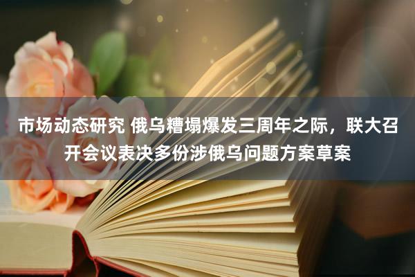 市场动态研究 俄乌糟塌爆发三周年之际，联大召开会议表决多份涉俄乌问题方案草案