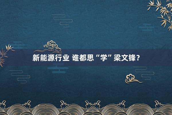 新能源行业 谁都思“学”梁文锋？