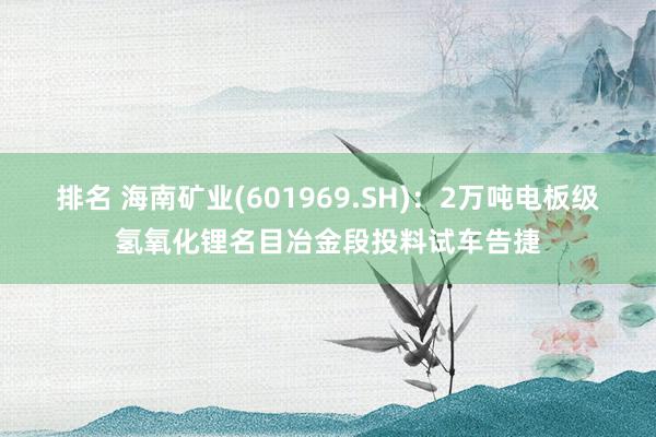 排名 海南矿业(601969.SH)：2万吨电板级氢氧化锂名目冶金段投料试车告捷