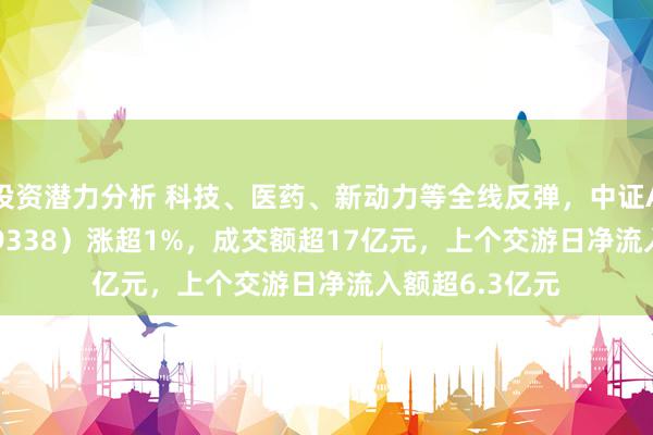 投资潜力分析 科技、医药、新动力等全线反弹，中证A500ETF（159338）涨超1%，成交额超17亿元，上个交游日净流入额超6.3亿元