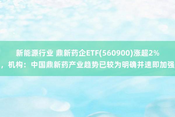 新能源行业 鼎新药企ETF(560900)涨超2%，机构：中国鼎新药产业趋势已较为明确并速即加强