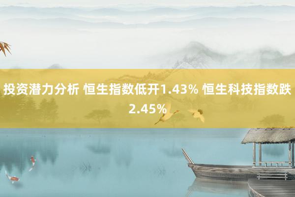 投资潜力分析 恒生指数低开1.43% 恒生科技指数跌2.45%