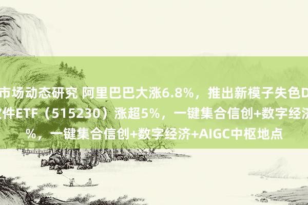 市场动态研究 阿里巴巴大涨6.8%，推出新模子失色DeepSeekR1，软件ETF（515230）涨超5%，一键集合信创+数字经济+AIGC中枢地点