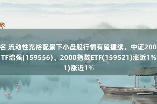 排名 流动性充裕配景下小盘股行情有望握续，中证2000ETF增强(159556)、2000指数ETF(159521)涨近1%